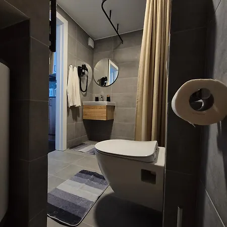 Inga Apartment Druskininkai