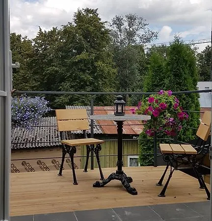 Inga Apartment Druskininkai