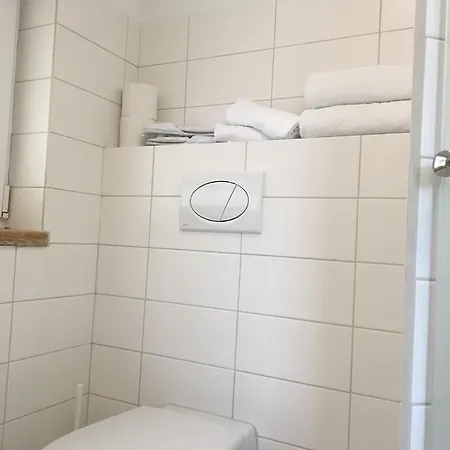 Inga Apartment Druskininkai