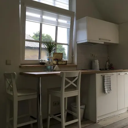 Inga Apartment Druskininkai
