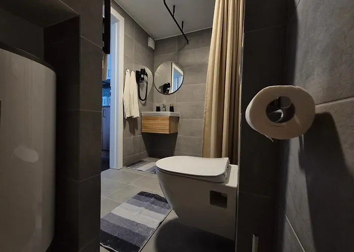 Inga Appartement Druskininkai