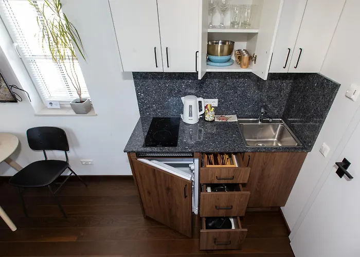 Inga Appartement Druskininkai